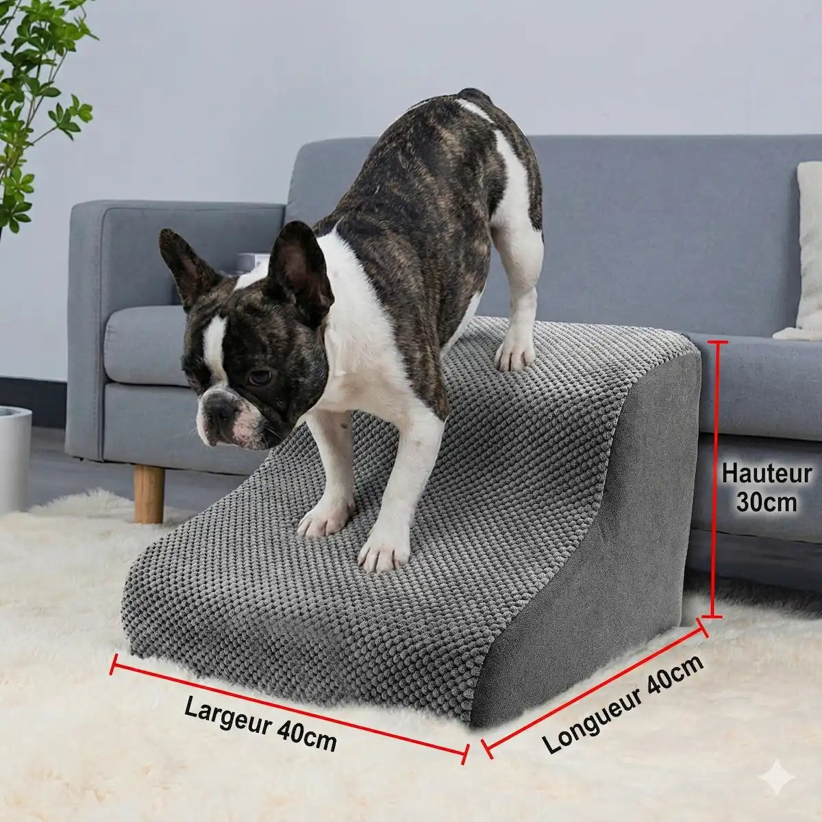 Bouledogue français sur petit escalier pour chien gris. Schéma technique avec dimensions : Hauteur 30cm, Longueur 40cm, Largeur 40cm.