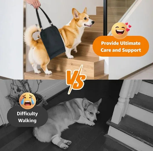 Harnais de Levage & Soutien Arrière : Aide à la Marche (Convalescence & Senior)