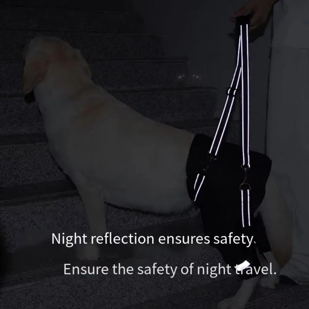 Harnais de Soutien "Hip Secure" : Enveloppe Hanches & Pattes (Respirant)