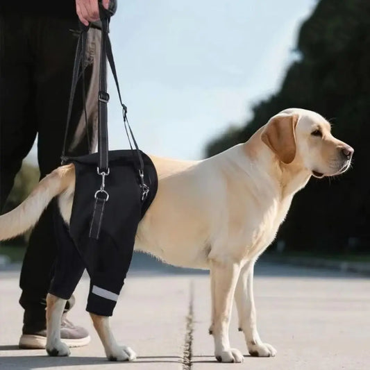 Harnais de Soutien "Hip Secure" : Enveloppe Hanches & Pattes (Respirant)