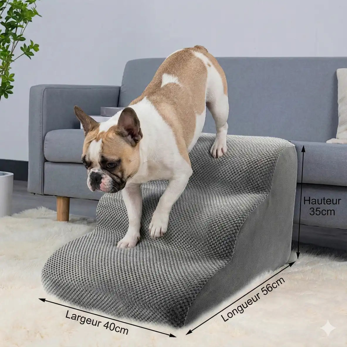 Bouledogue français descendant un escalier pour chien gris. Schéma technique avec dimensions : Hauteur 35cm, Longueur 56cm, Largeur 40cm.