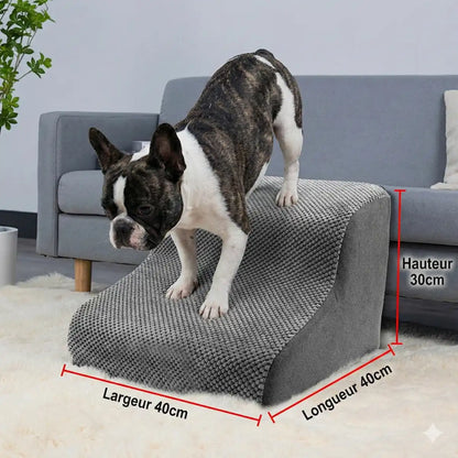 Bouledogue français sur petit escalier pour chien gris. Schéma technique avec dimensions : Hauteur 30cm, Longueur 40cm, Largeur 40cm.