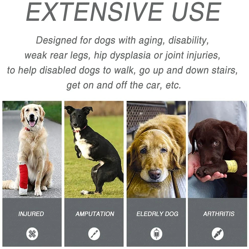 Harnais de Soutien Intégral : Aide au Levage Avant & Arrière (Multi-Positions)