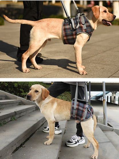 Harnais de Soutien Intégral : Aide au Levage Avant & Arrière (Multi-Positions)