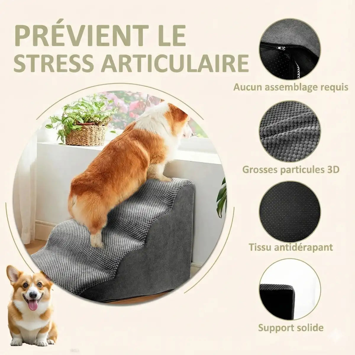 Infographie escalier pour chien montrant les avantages : prévient le stress articulaire, aucun assemblage requis, tissu 3D texturé, base antidérapante et support en mousse solide.