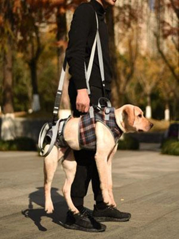 Harnais de Soutien Intégral : Aide au Levage Avant & Arrière (Multi-Positions)