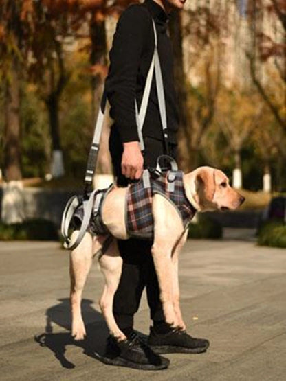 Harnais de Soutien Intégral : Aide au Levage Avant & Arrière (Multi-Positions)