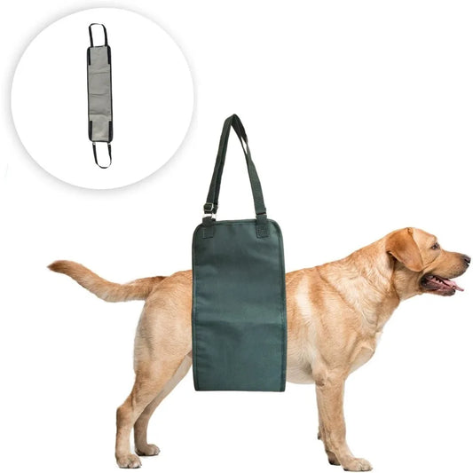 Harnais de Levage & Soutien Arrière : Aide à la Marche (Convalescence & Senior)