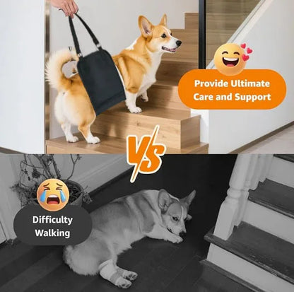 Harnais de Levage & Soutien Arrière : Aide à la Marche (Convalescence & Senior)