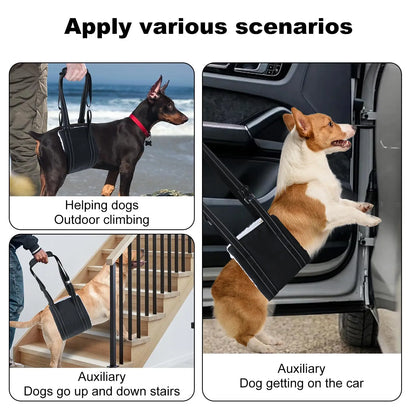 Harnais de Soutien "Soft Lift" : Doublure Polaire & Sangles Réglables (S à L)