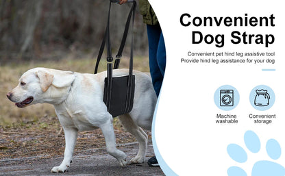 Harnais de Soutien "Soft Lift" : Doublure Polaire & Sangles Réglables (S à L)