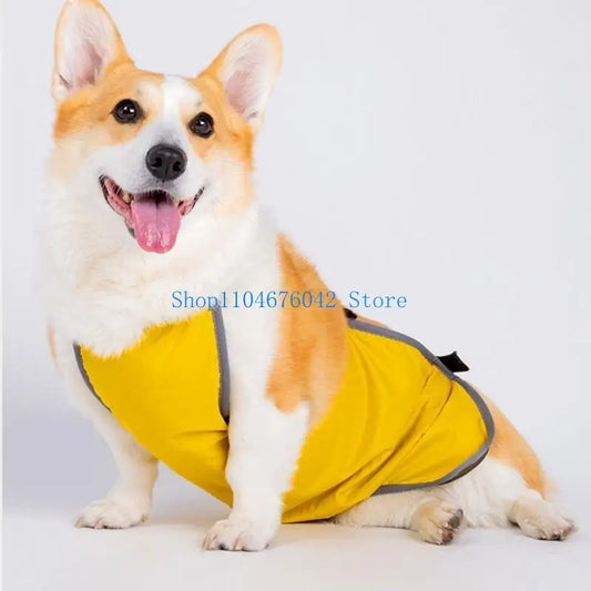 Bandeau Urinaire Respirant "Air-Mesh" – Ceinture Mâle Anti-Marquage