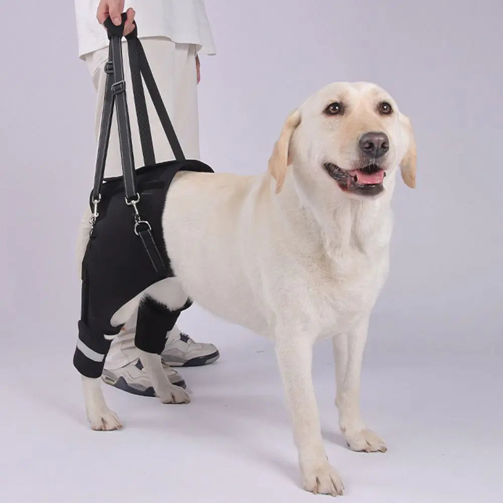 Harnais de Soutien "Hip Secure" : Enveloppe Hanches & Pattes (Respirant)