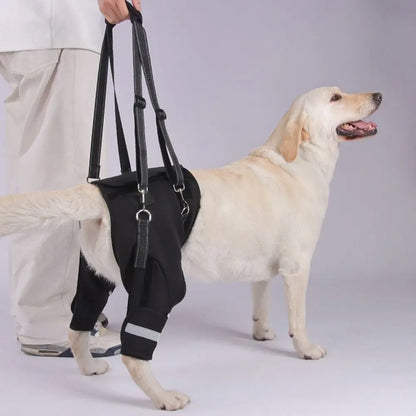 Harnais de Soutien "Hip Secure" : Enveloppe Hanches & Pattes (Respirant)