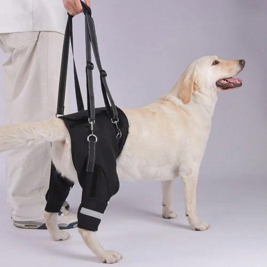 Harnais de Soutien "Hip Secure" : Enveloppe Hanches & Pattes (Respirant)