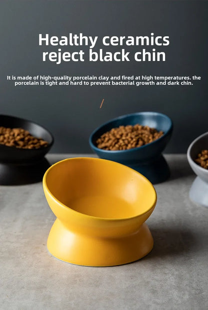 Gamelle Orthopédique Céramique Inclinée 15° – Anti-Vomissement & Confort Cervical