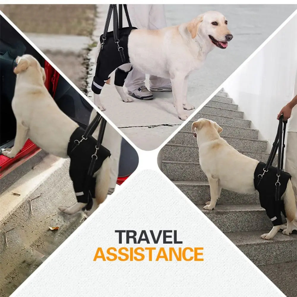 Harnais de Soutien "Hip Secure" : Enveloppe Hanches & Pattes (Respirant)