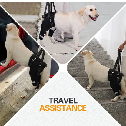 Harnais de Soutien "Hip Secure" : Enveloppe Hanches & Pattes (Respirant)