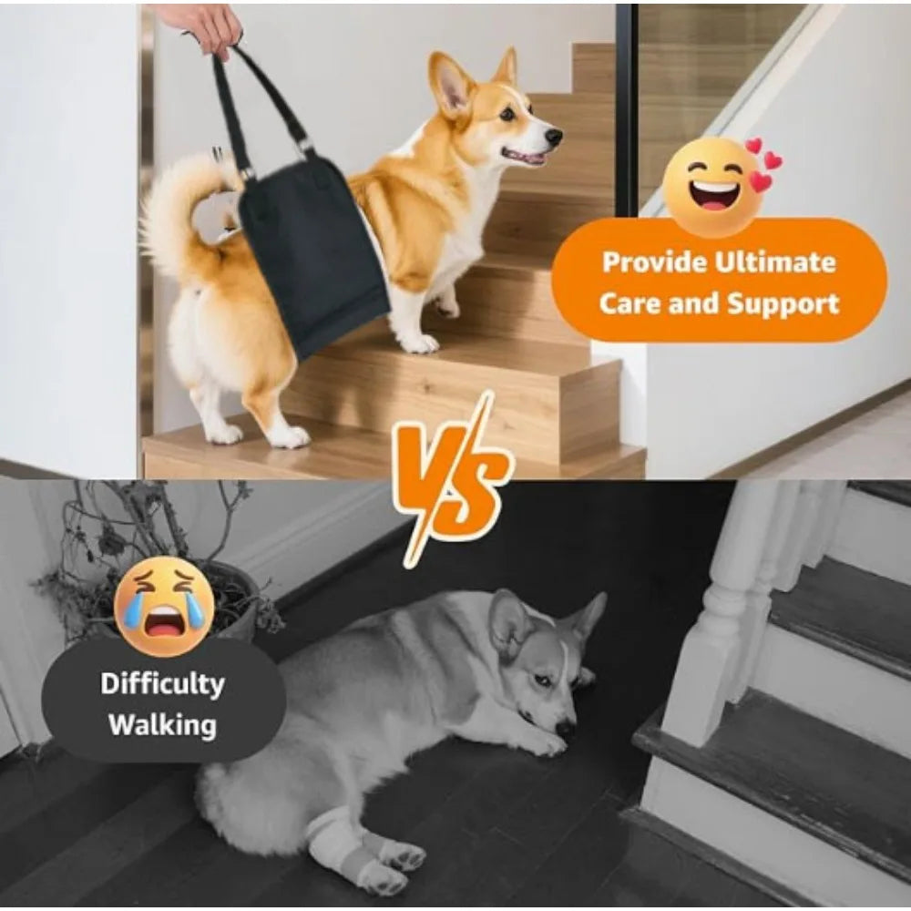 Harnais de Levage & Soutien Arrière : Aide à la Marche (Convalescence & Senior)