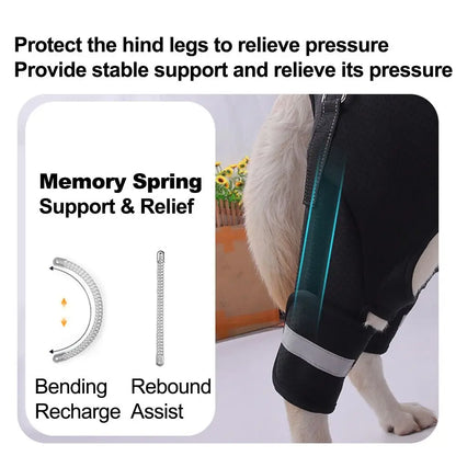 Harnais de Soutien "Hip Secure" : Enveloppe Hanches & Pattes (Respirant)