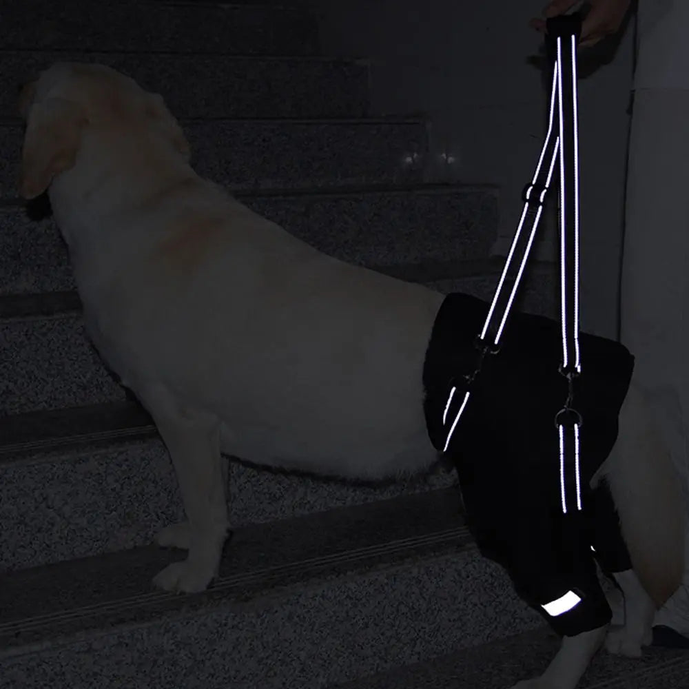 Harnais de Soutien "Hip Secure" : Enveloppe Hanches & Pattes (Respirant)