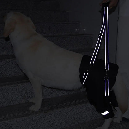 Harnais de Soutien "Hip Secure" : Enveloppe Hanches & Pattes (Respirant)