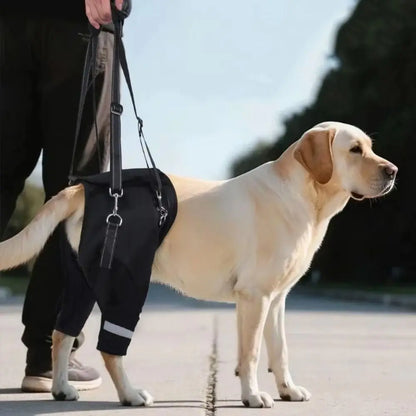 Harnais de Soutien "Hip Secure" : Enveloppe Hanches & Pattes (Respirant)