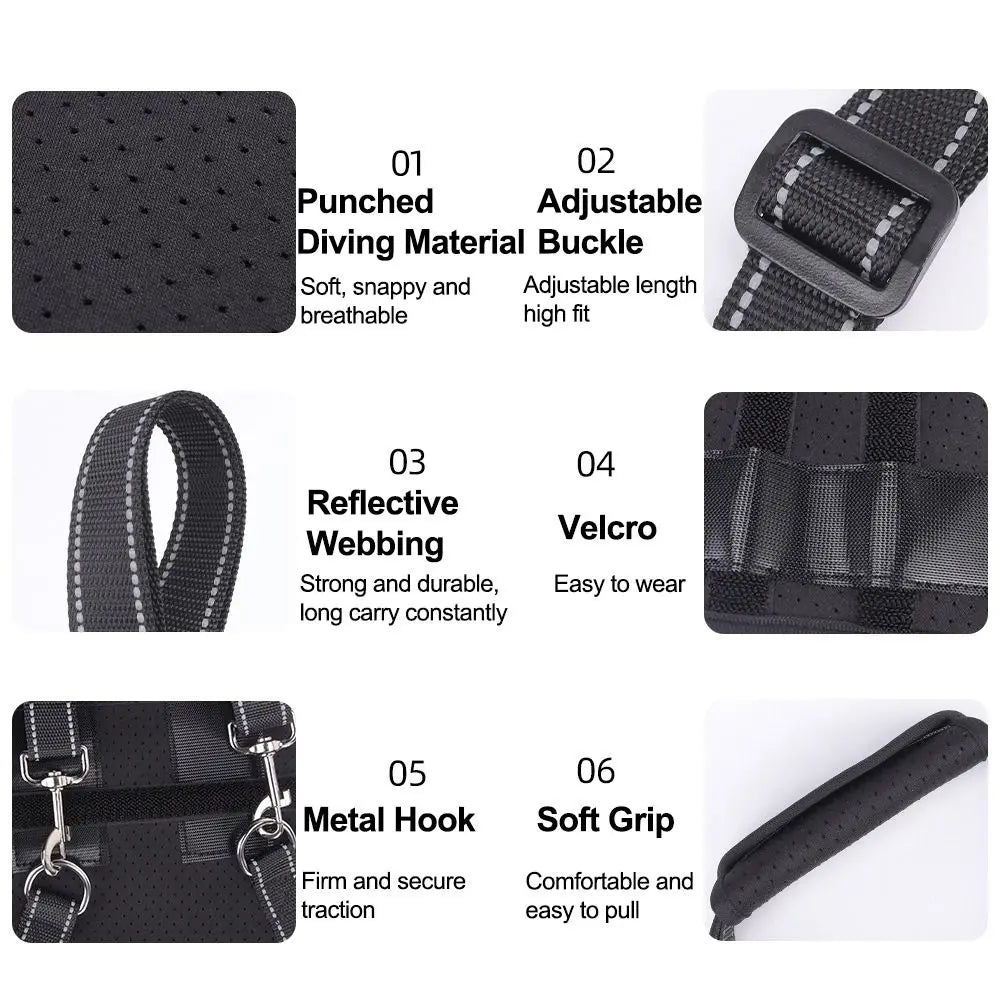 Harnais de Soutien "Hip Secure" : Enveloppe Hanches & Pattes (Respirant)