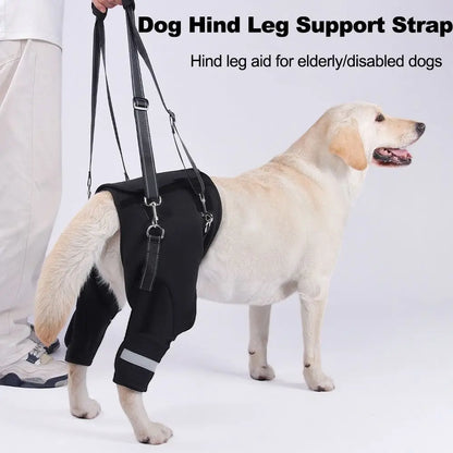 Harnais de Soutien "Hip Secure" : Enveloppe Hanches & Pattes (Respirant)