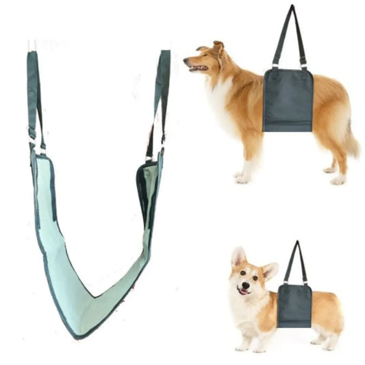 Harnais de Levage & Soutien Arrière : Aide à la Marche (Convalescence & Senior)