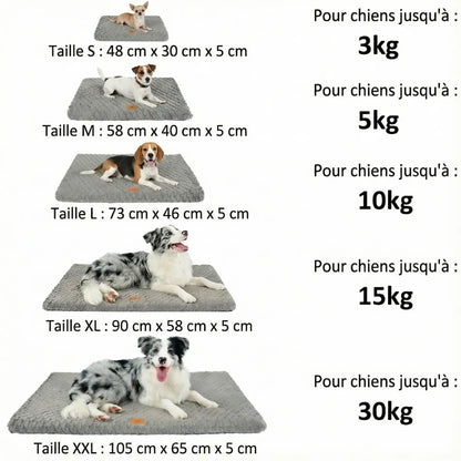 Guide des tailles tapis pour chien du S au XXL avec dimensions et poids