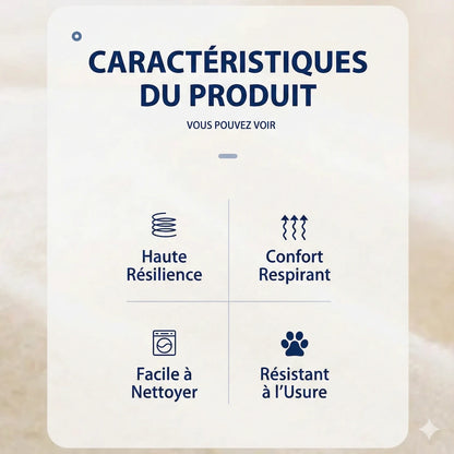 Infographie détaillant les caractéristiques clés d'un produit pour animaux Patte Douce : matériau à haute résilience, confort respirant, facile à nettoyer et résistant à l'usure.
