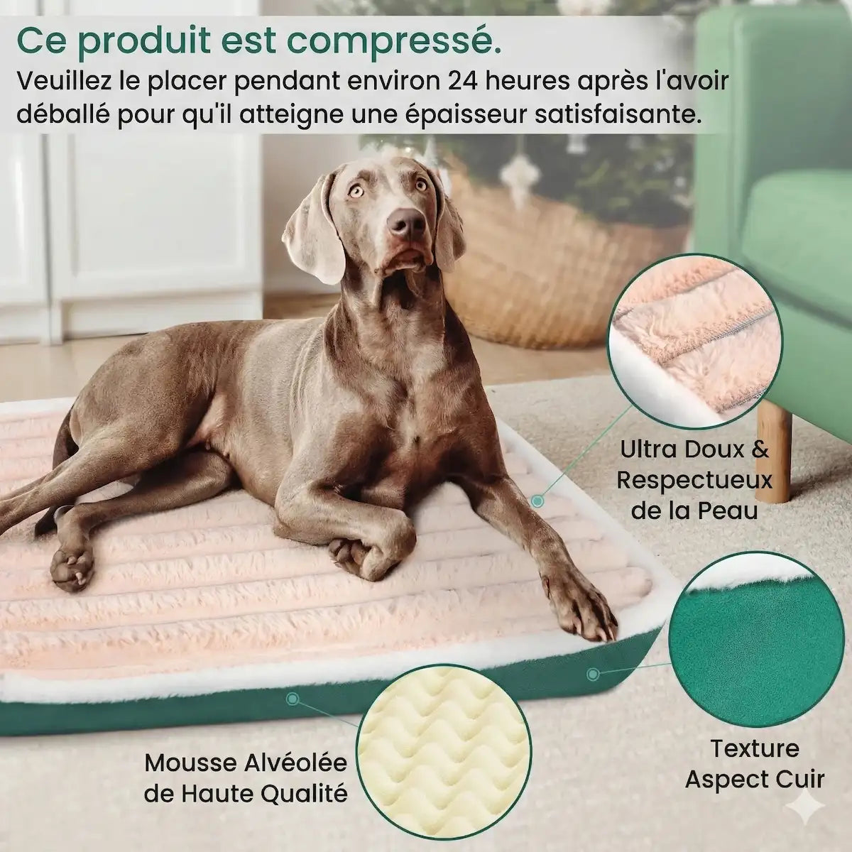 Lit pour chien orthopédique avec mousse alvéolée de haute qualité, surface ultra douce et contours aspect cuir vert.