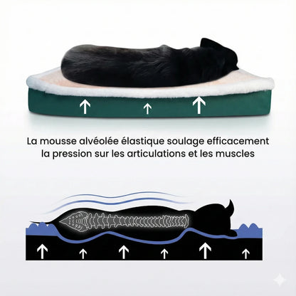 Schéma technique montrant le soutien orthopédique du lit pour chien : la mousse alvéolée soulage la pression sur les articulations et la colonne vertébrale.