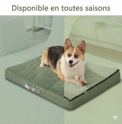 Lit orthopédique pour chien vert sauge "Disponible en toutes saisons". Illustration d'un Corgi montrant la polyvalence du couchage : frais pour l'été et douillet pour l'hiver.